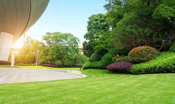 Cost of Commercial Shrub Trimming in Orange