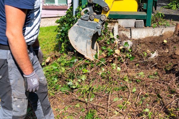 Cost of Hedge Removal Service in Orange
