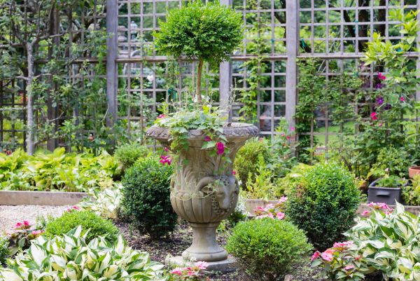 Cost of Topiary Pruning in Orange