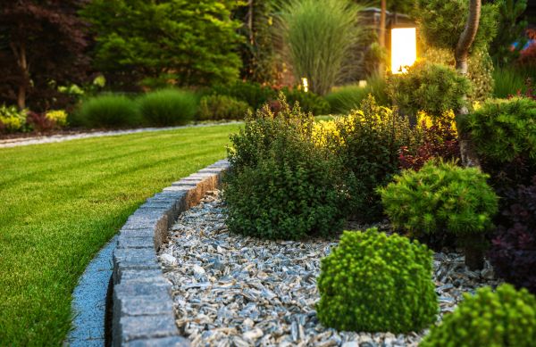 Cost of Bush Relocation in Orange