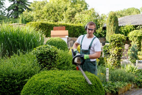 Cost of Shrubs Trimming in Orange