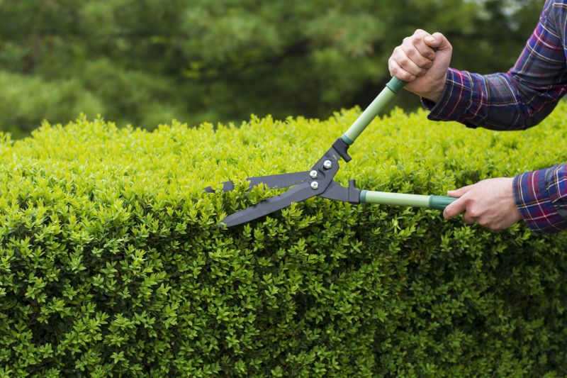 Hedge Shearing